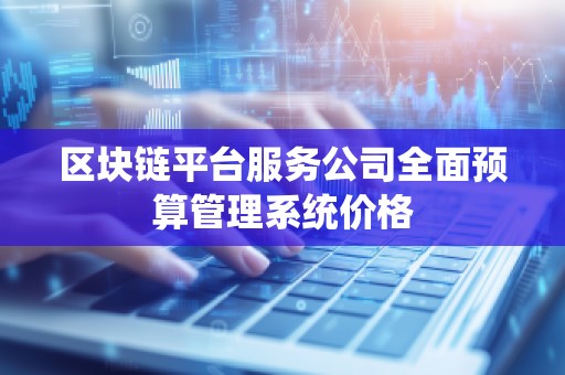 区块链平台服务公司全面预算管理系统价格