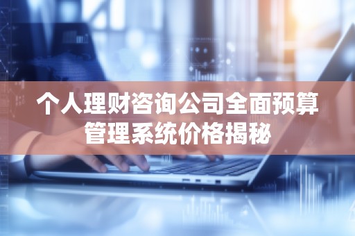 个人理财咨询公司全面预算管理系统价格揭秘