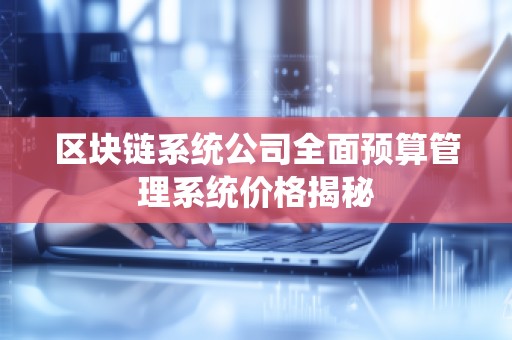区块链系统公司全面预算管理系统价格揭秘