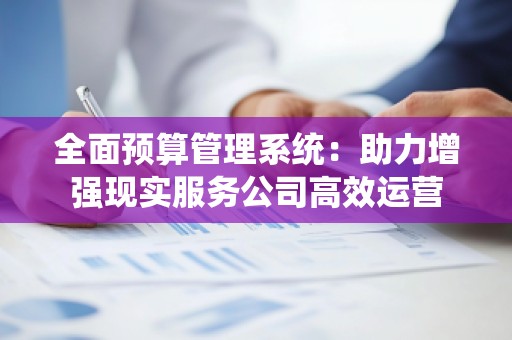 全面预算管理系统:助力增强现实服务公司高效运营