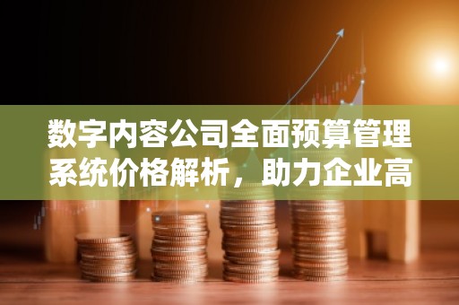 数字内容公司全面预算管理系统价格解析,助力企业高效决策