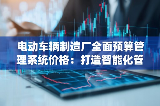 电动车辆制造厂全面预算管理系统价格:打造智能化管理新纪元
