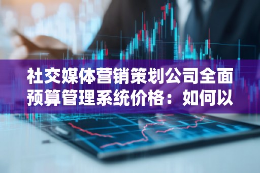 社交媒体营销策划公司全面预算管理系统价格：如何以更低的成本实现高效营销？