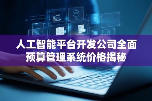 人工智能平台开发公司全面预算管理系统价格揭秘