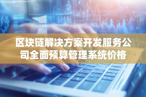 区块链解决方案开发服务公司全面预算管理系统价格