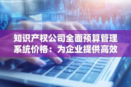 知识产权公司全面预算管理系统价格：为企业提供高效管理方案