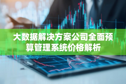 大数据解决方案公司全面预算管理系统价格解析