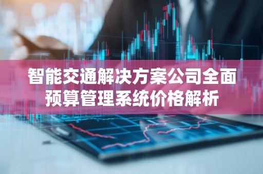 智能交通解决方案公司全面预算管理系统价格解析
