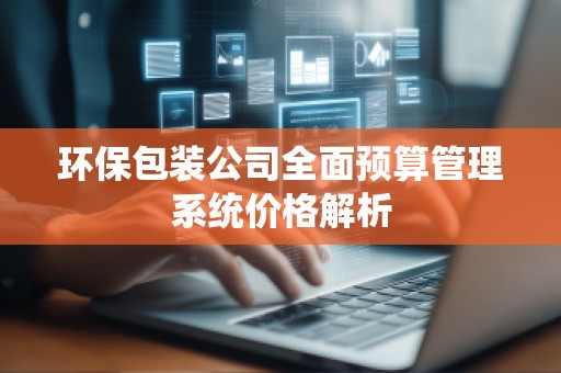 环保包装公司全面预算管理系统价格解析