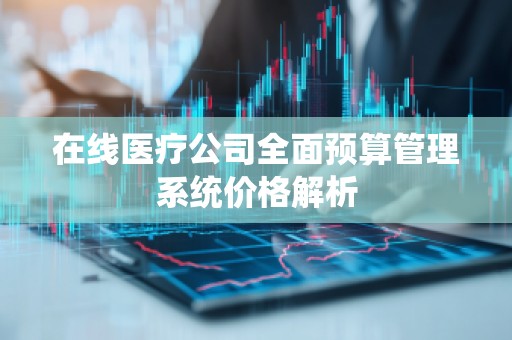 在线医疗公司全面预算管理系统价格解析