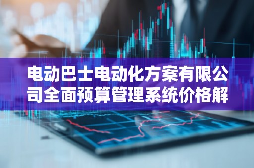电动巴士电动化方案有限公司全面预算管理系统价格解析