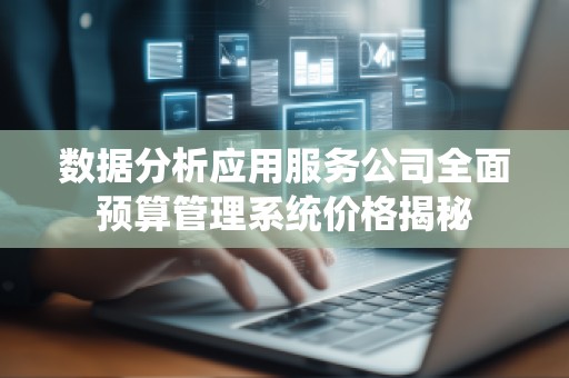 数据分析应用服务公司全面预算管理系统价格揭秘