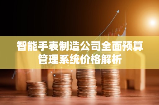 智能手表制造公司全面预算管理系统价格解析