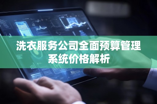 洗衣服务公司全面预算管理系统价格解析