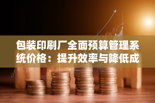 包装印刷厂全面预算管理系统价格:提升效率与降低成本的***解决方案