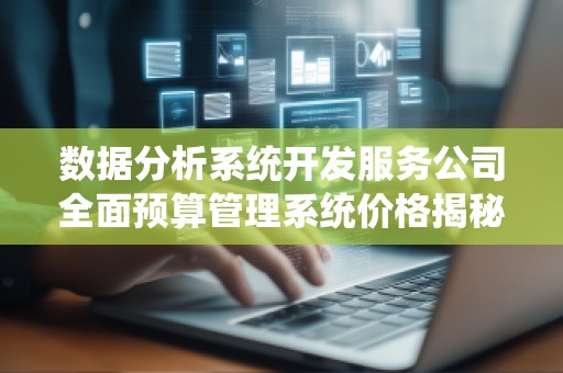 数据分析系统开发服务公司全面预算管理系统价格揭秘