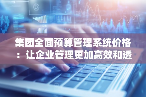 集团全面预算管理系统价格:让企业管理更加高效和透明