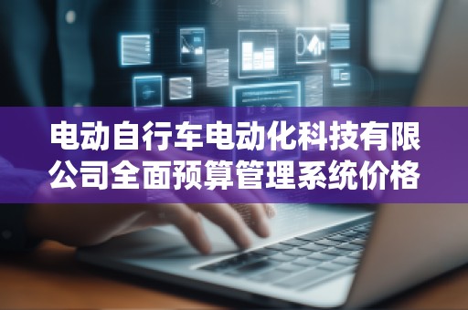 电动自行车电动化科技有限公司全面预算管理系统价格解析