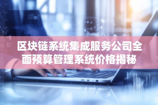 区块链系统集成服务公司全面预算管理系统价格揭秘