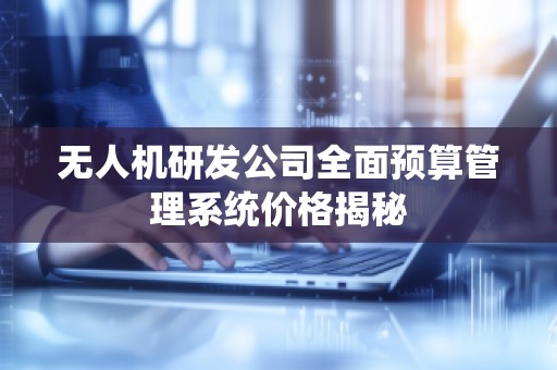 无人机研发公司全面预算管理系统价格揭秘
