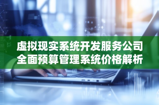 虚拟现实系统开发服务公司全面预算管理系统价格解析