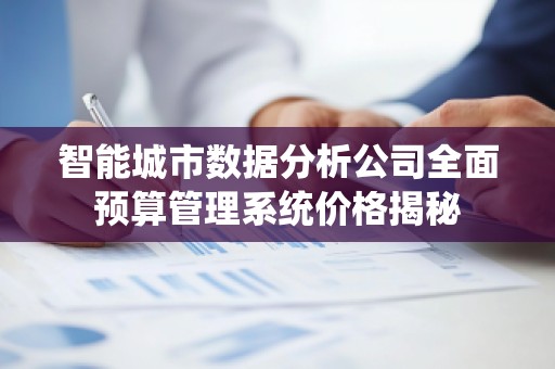 智能城市数据分析公司全面预算管理系统价格揭秘