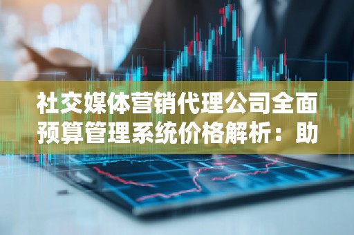 社交媒体营销代理公司全面预算管理系统价格解析:助力企业高效管控营销成本