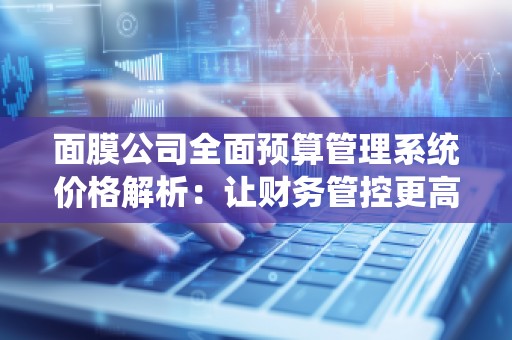 面膜公司全面预算管理系统价格解析:让财务管控更高效,助力企业腾飞