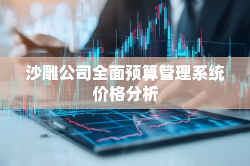 沙雕公司全面预算管理系统价格分析